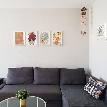 אל פוארטו דה סנטה מריה Valdelagrana Mar Ha Apartment מראה חיצוני תמונה